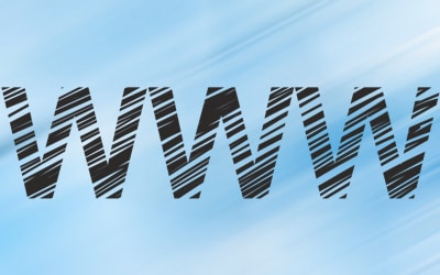 A Website Works